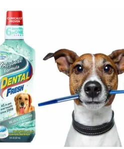 Alternative view of Dental Fresh Whitenning 500 ml.