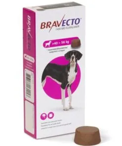 Bravecto de 40 a 56 kg. (caja x 1 pastilla)