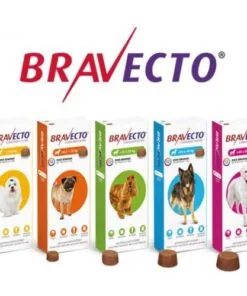 Alternative view of Bravecto de 10 a 20 kg. (caja x 1 pastilla)