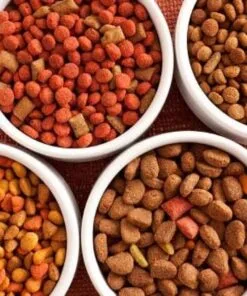 Alimento balanceado
