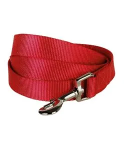 Alternative view of Correa Coastal Talla L - Rojo