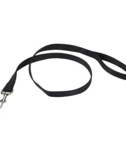 Correa Coastal Talla L - Negro