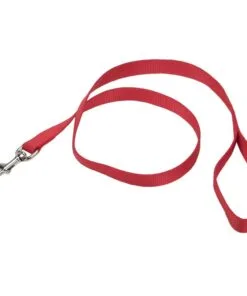 Correa Coastal Talla L - Rojo